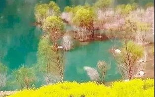 光阴深处,岁月静好