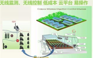 大数据采集包括数据挖掘吗