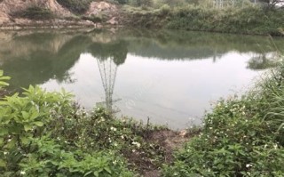 惠州野钓