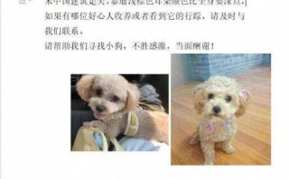 晋城宠物防疫站