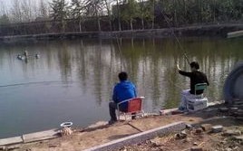 探讨开展对外垂钓项目的可行性和建议