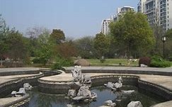 江城江滨公园夏日休闲的清凉绿洲