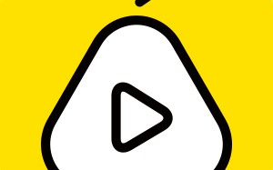 坪山专业宠物殡葬公司有哪些