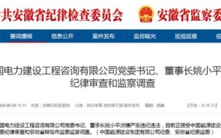 中国电力建设工程咨询有限公司董事长姚小平被查