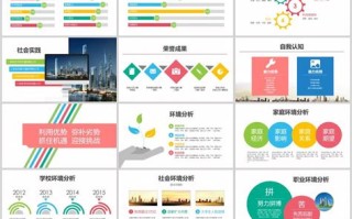 大数据与会计专业职业规划书