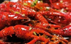 杭州小龙虾批发市场