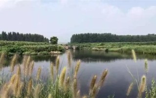 丽江哪里钓鱼