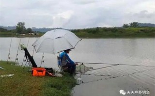 阴天钓鲤鱼怎么钓最好