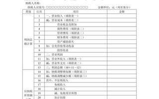 大数据公司申报税种怎么填