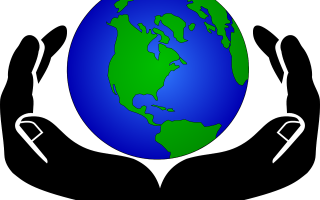 自然与科技的结合，全面解析家庭除虫的有效方法