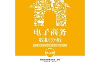 《大数据分析：理论与实践》书籍文案