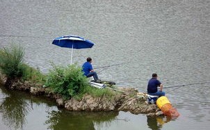 蓬莱野钓