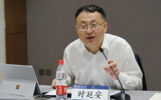 大数据审计发展的挑战包括