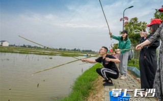 株洲什么位置有小龙虾钓