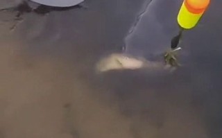 垂钓星球的搞笑视频大全
