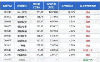 财税大数据龙头股票