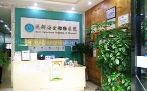1.确保专业资质