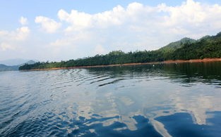 太平湖猴坑是垂钓区吗还是钓鱼