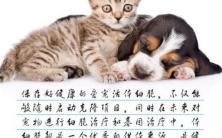 韩国克隆狗