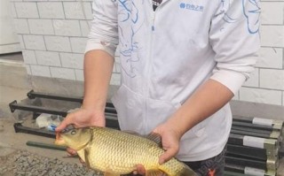 1.环境概况