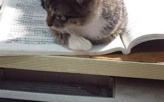 华翠小区