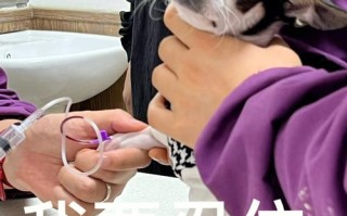 淘宝奥利给宠物