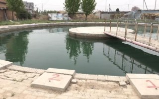 保定哪有钓鱼的地方