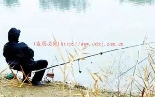 1.选择合适的垂钓场所