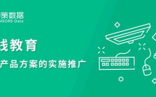 云南大维网络营销策划