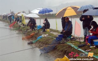 岳阳麻塘大堤钓鱼