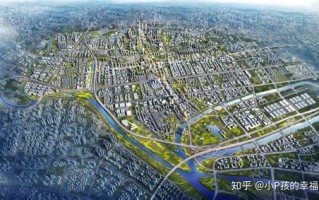 深圳沙井宠物店一条街在哪