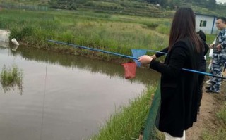 涪陵周边山庄