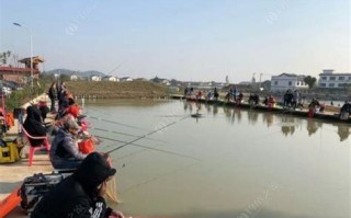 休闲垂钓广告