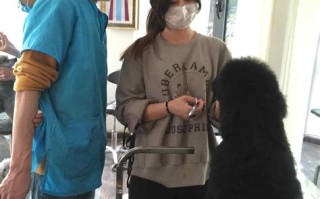 泉州宠物美容服务招聘信息