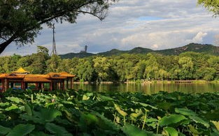 六盘山避暑季：清凉一夏，避暑胜地