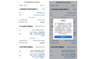 手机查询大数据