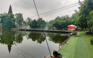 枞阳德庄火锅在哪里