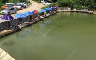 南京泉水农庄垂钓园地址