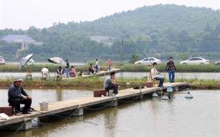 白龙湖钓鱼农家乐电话