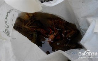 上饶钓小龙虾