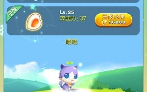 宠物蛋的名字