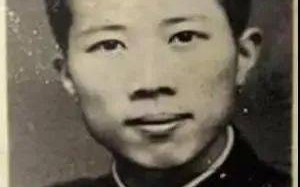1.宠物异变属性的意义