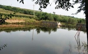 绿水青山垂钓园电话