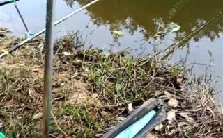 1.垂钓的艺术：与自然对话