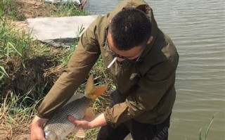 阜宁垂钓地方推荐