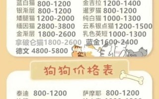 杭州开一个宠物店要多少钱
