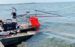 阳澄湖垂钓区收费吗