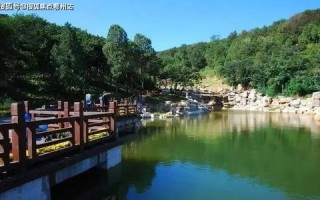 垂钓园收费小票