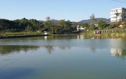 锦洋垂钓中心