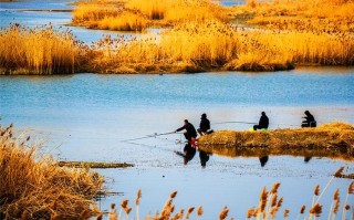 中国垂钓风景视频素材无水印